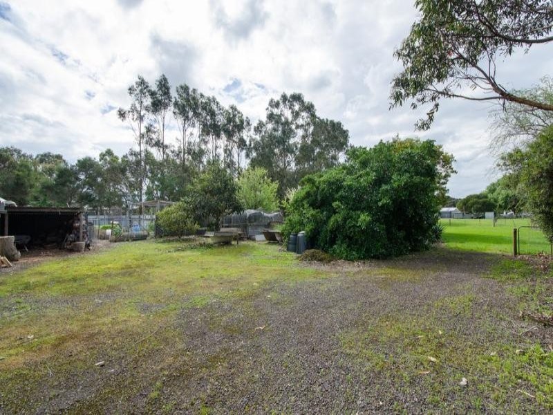 184 Williams Road, Millicent SA 5280