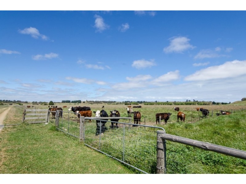 93 Buhlmans Road, Rendelsham SA 5280