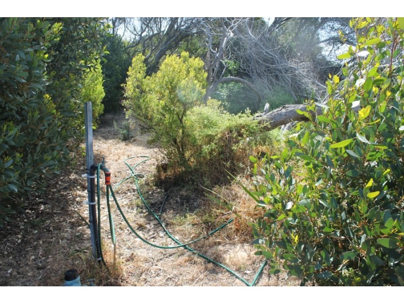 Lot 15,  Mabel Street, Beachport SA 5280