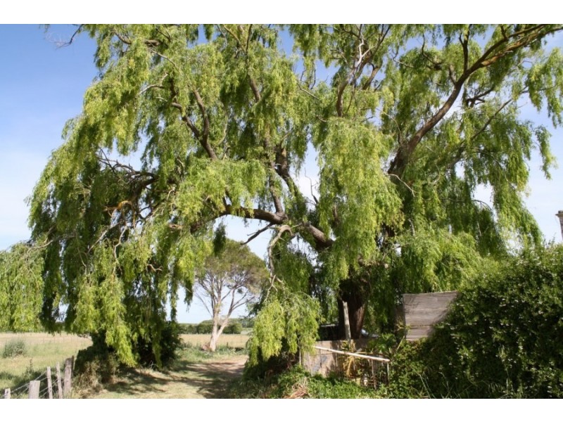 31 Lange Road, Yahl SA 5291