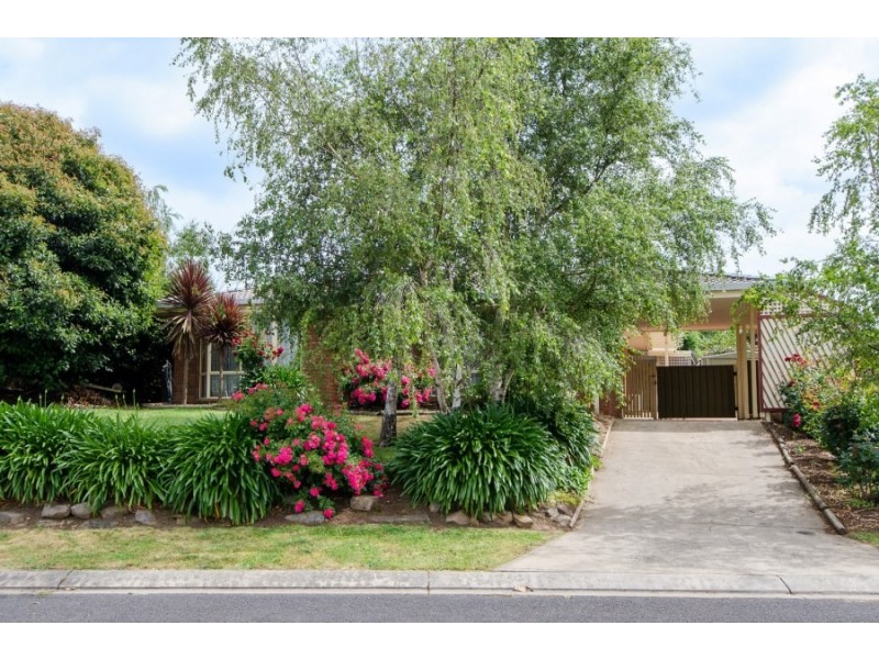 3 Montrose Court, Mount Gambier SA 5290