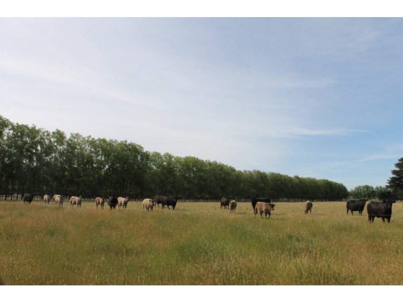 Square Mile Road, Yahl SA 5291