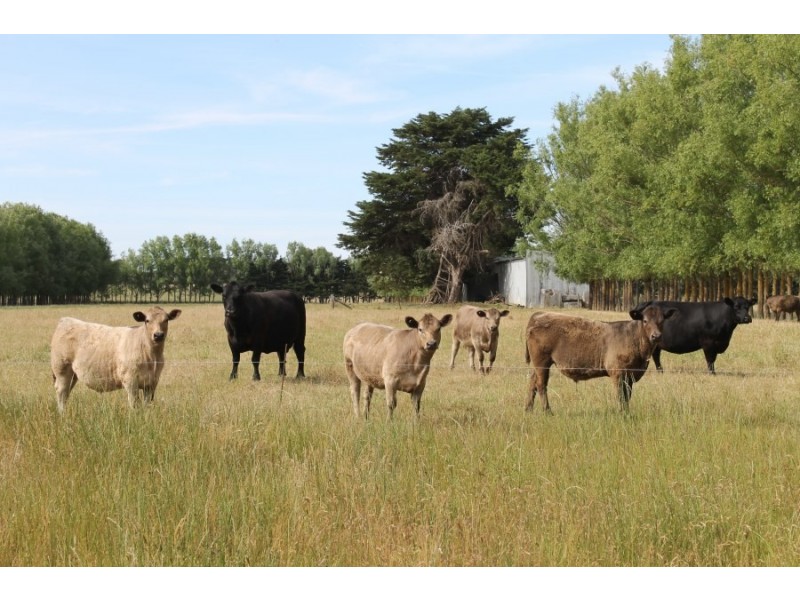 Square Mile Road, Yahl SA 5291