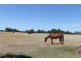 72 Burston Road, Glencoe SA 5291