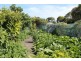 118 Ringwood Drive, Beachport SA 5280