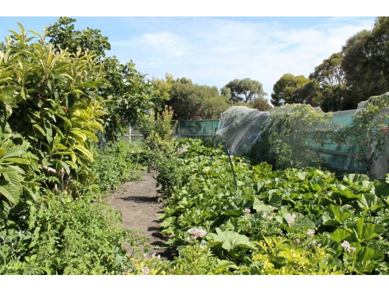 118 Ringwood Drive, Beachport SA 5280