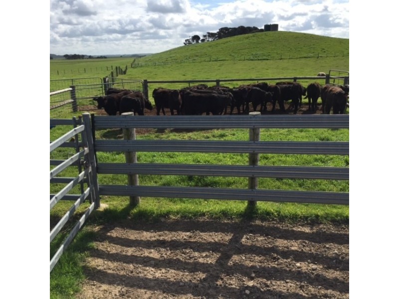 312 Canunda Causeway, Millicent SA 5280