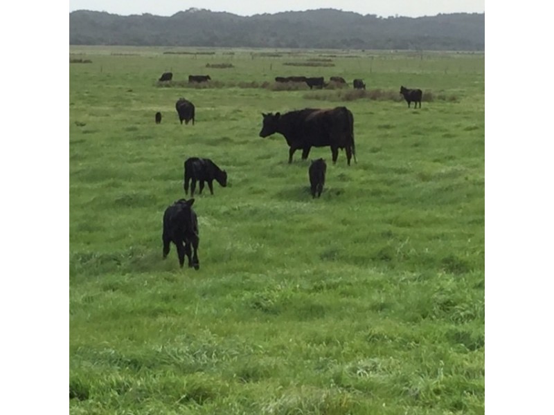 312 Canunda Causeway, Millicent SA 5280