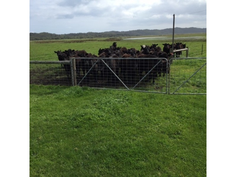 312 Canunda Causeway, Millicent SA 5280