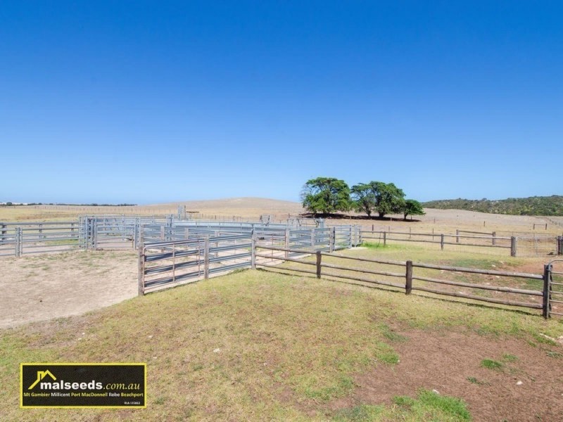 312 Canunda Causeway, Millicent SA 5280