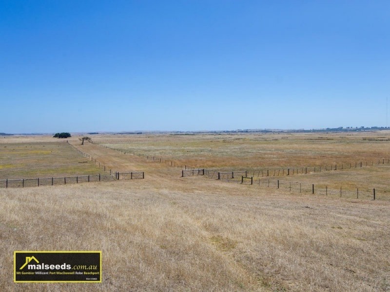 312 Canunda Causeway, Millicent SA 5280