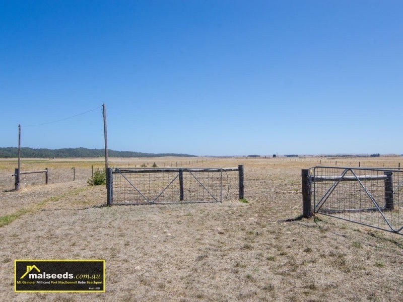 312 Canunda Causeway, Millicent SA 5280