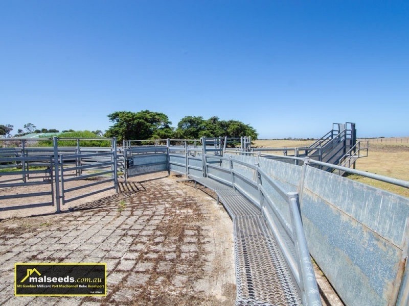 312 Canunda Causeway, Millicent SA 5280