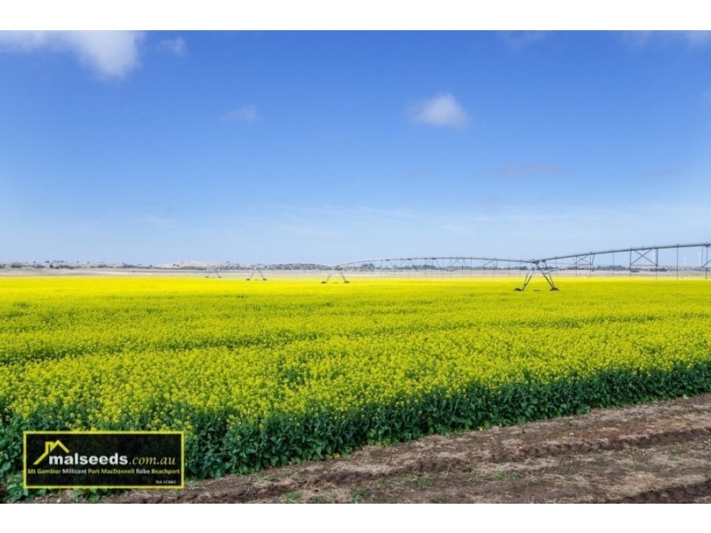 311-312 Canunda Causeway, Millicent SA 5280