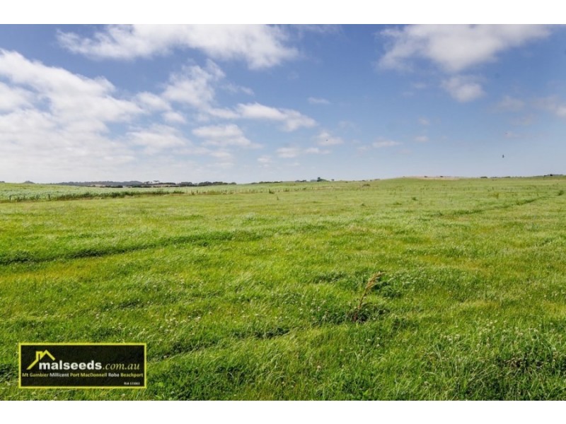 311-312 Canunda Causeway, Millicent SA 5280