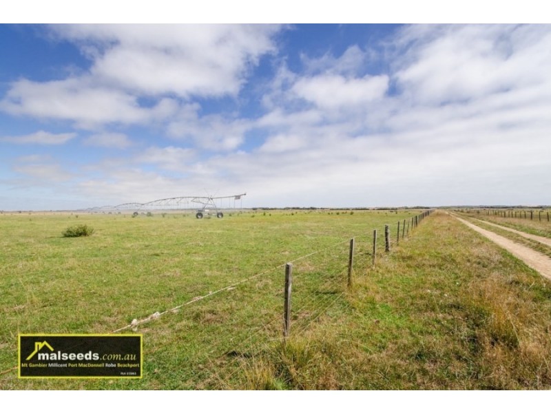 311-312 Canunda Causeway, Millicent SA 5280