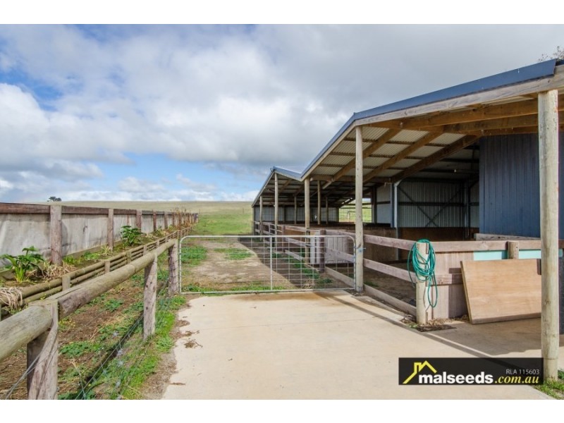 117 Wynham Road, Moorak SA 5291