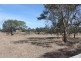 Lot 70, Sec/839 Southern Ports Highway, Millicent SA 5280