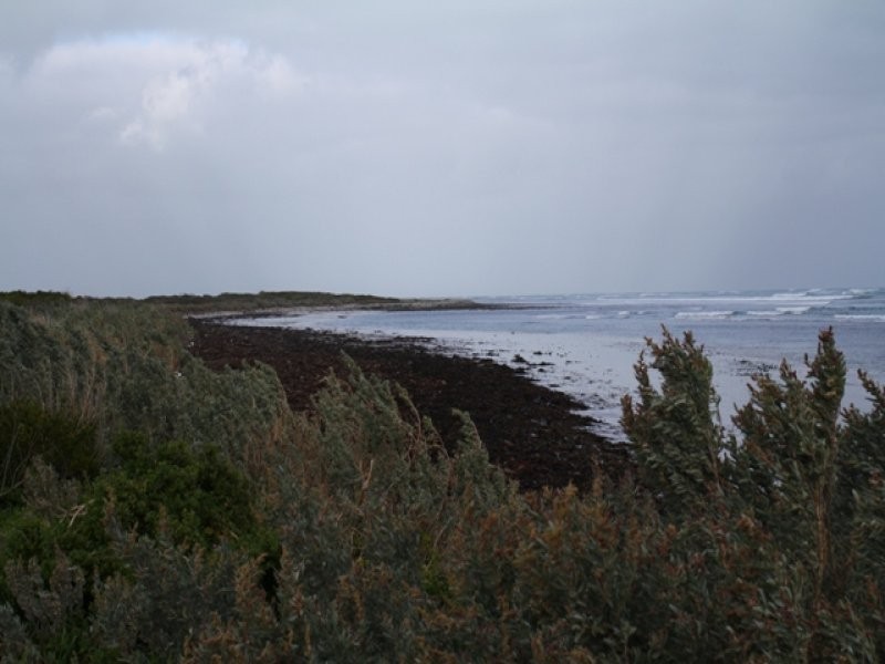 Lot 7,  Eight Mile Creek Road, Port Macdonnell SA 5291