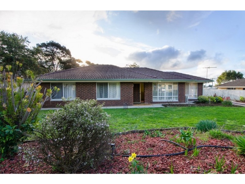 3 Campbell Street, Millicent SA 5280