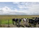 Pascoe Road, Port Macdonnell SA 5291