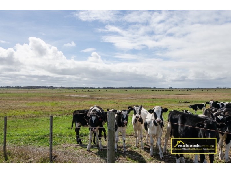 Pascoe Road, Port Macdonnell SA 5291