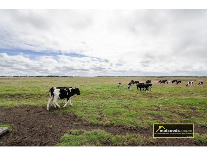 Pascoe Road, Port Macdonnell SA 5291