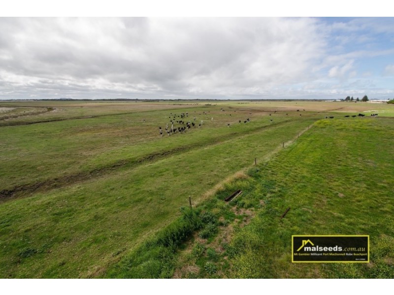 Pascoe Road, Port Macdonnell SA 5291