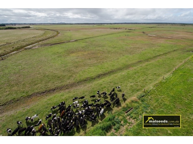 Pascoe Road, Port Macdonnell SA 5291