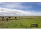 Pascoe Road, Port Macdonnell SA 5291