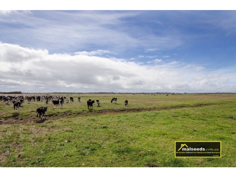 Pascoe Road, Port Macdonnell SA 5291
