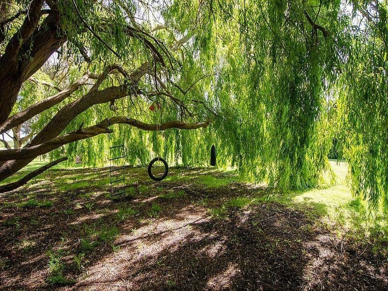 28 Gunns Road, Millicent SA 5280