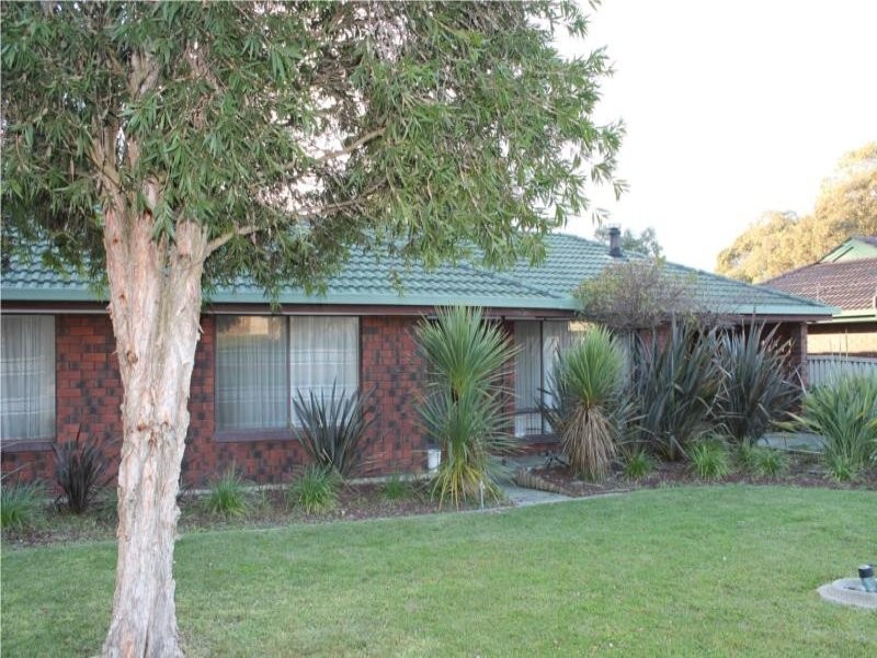 17 Campbell Street, Millicent SA 5280