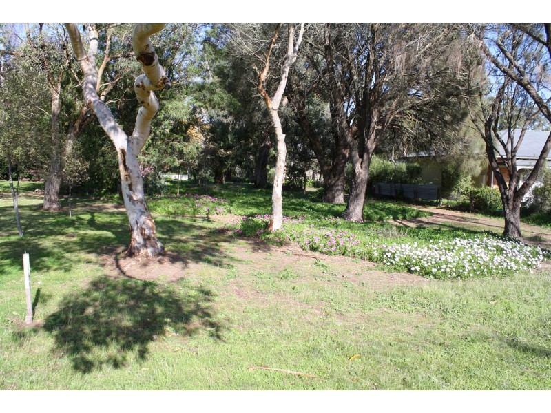 169 Williams Road, Millicent SA 5280