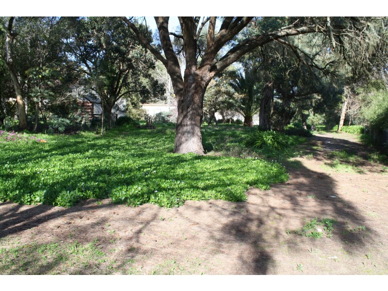 169 Williams Road, Millicent SA 5280