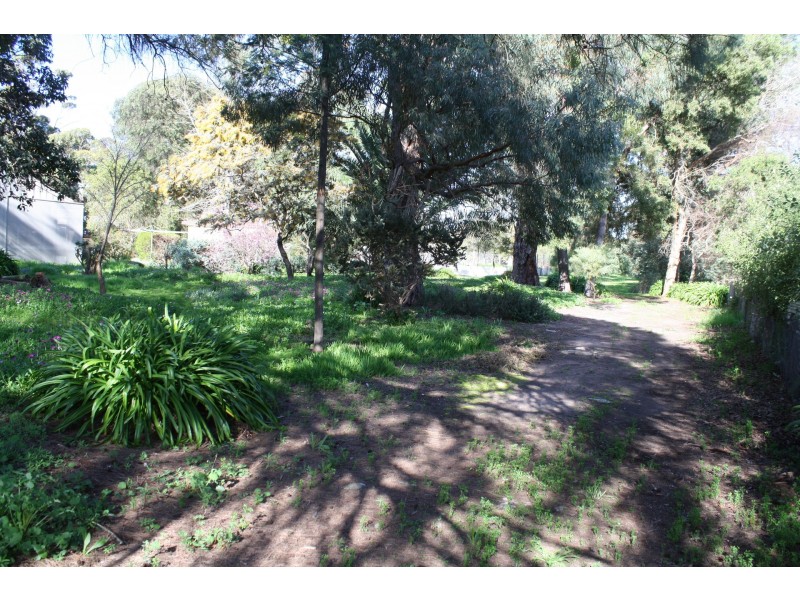 169 Williams Road, Millicent SA 5280