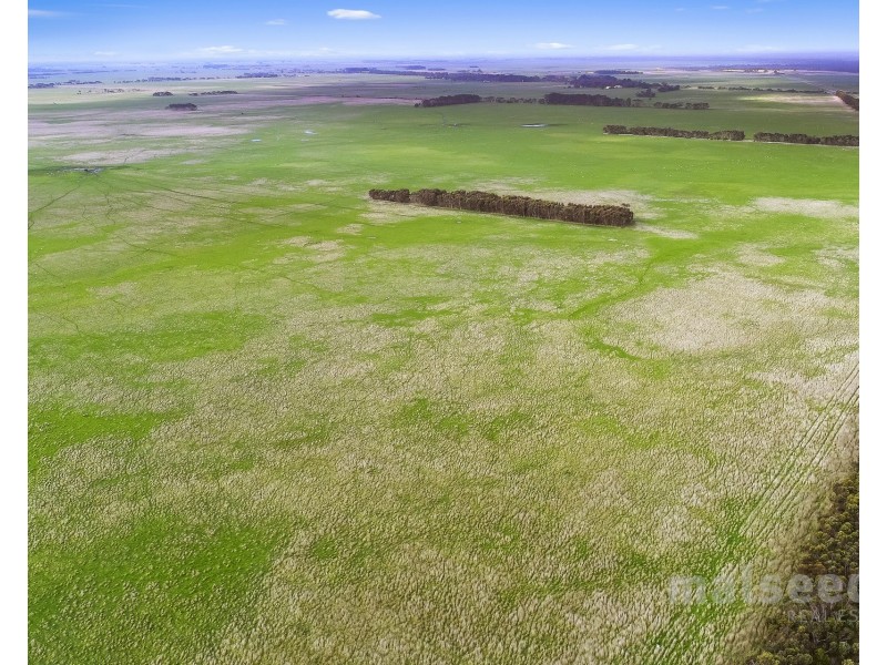 1795 Clay Wells Road, Clay Wells SA 5280