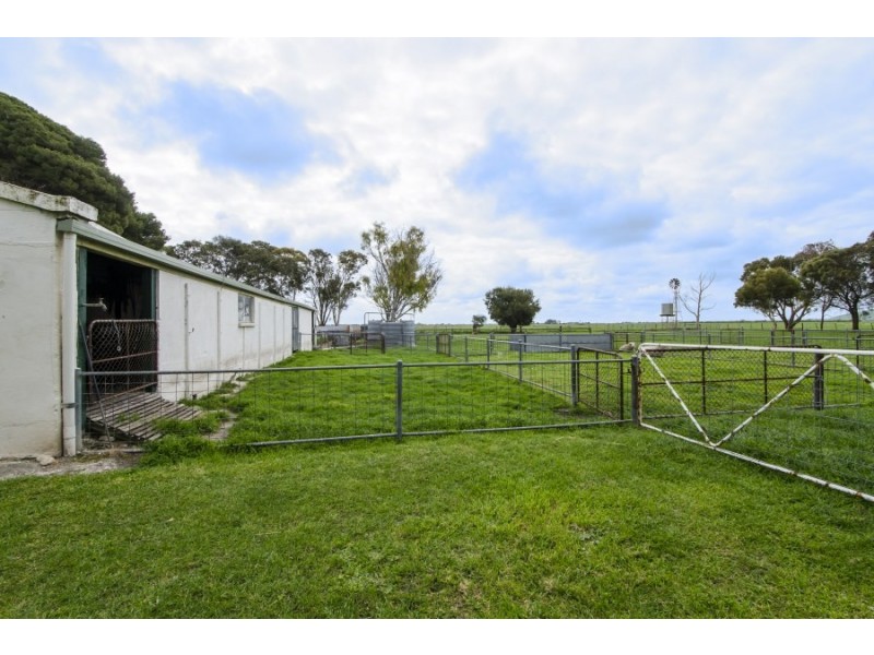 135 Willowbank Road, Millicent SA 5280