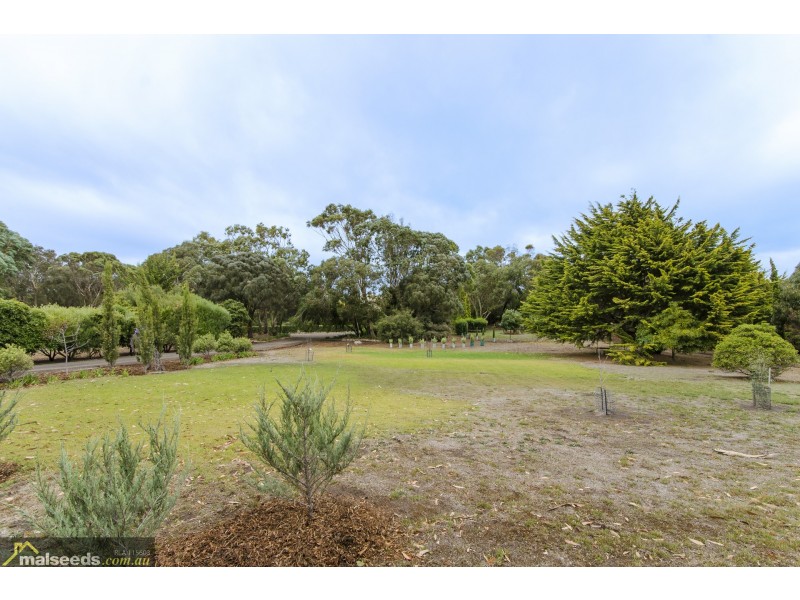 50 Geltwood Drive, Beachport SA 5280