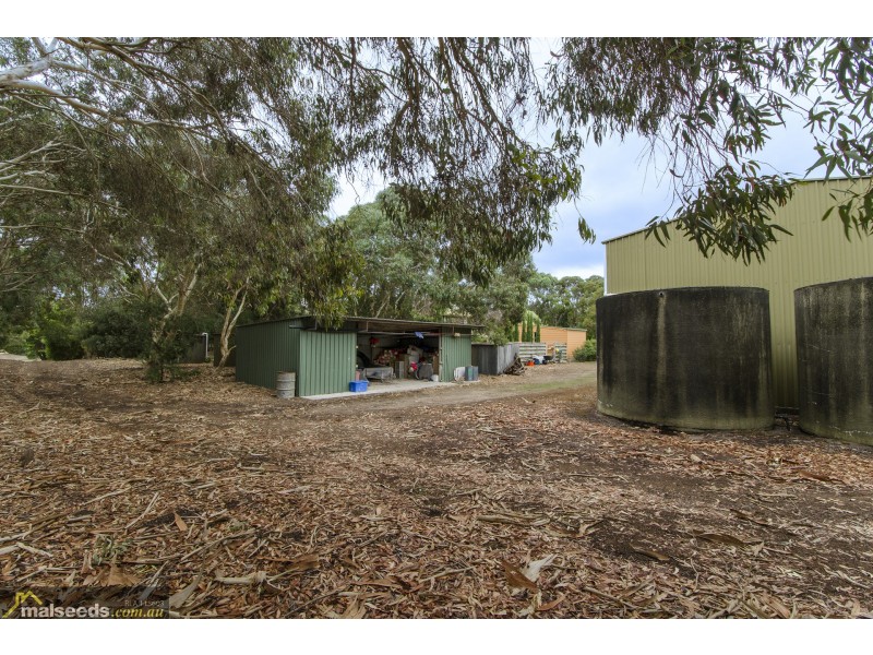 50 Geltwood Drive, Beachport SA 5280