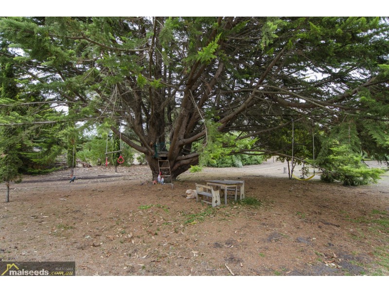 50 Geltwood Drive, Beachport SA 5280