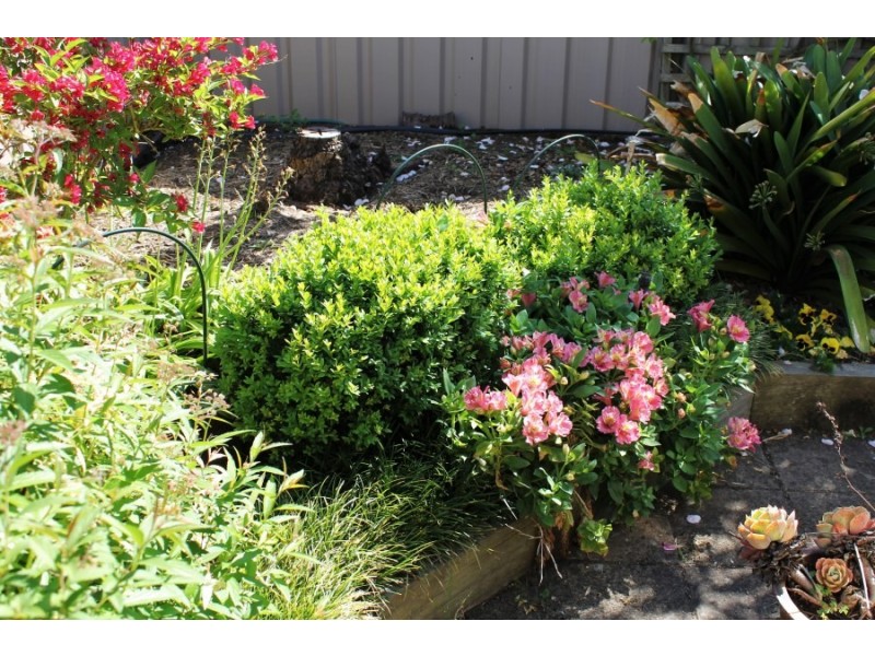 5 Winfield Court, Mount Gambier SA 5290