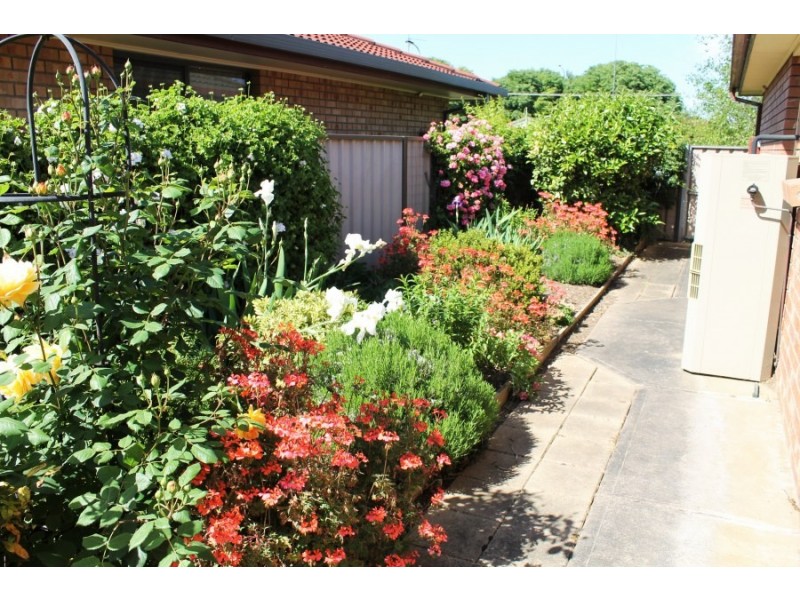 5 Winfield Court, Mount Gambier SA 5290