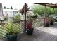 21 Ramsay Street, Millicent SA 5280