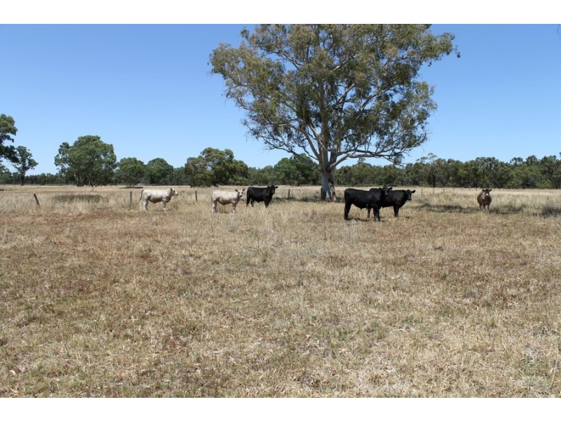 Mulligan Road, Maaoupe SA 5277