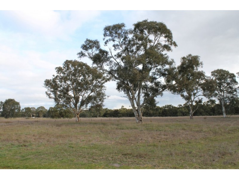 Mulligan Road, Maaoupe SA 5277