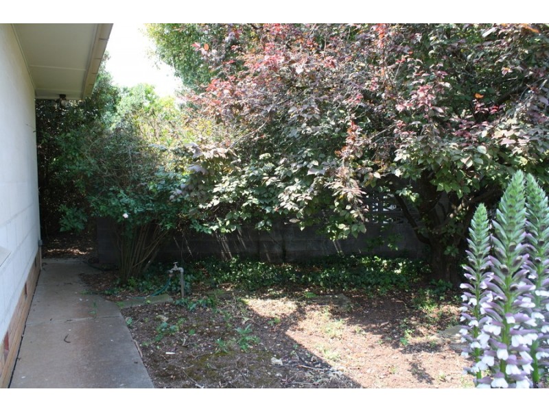 8 Randall Street, Tantanoola SA 5280