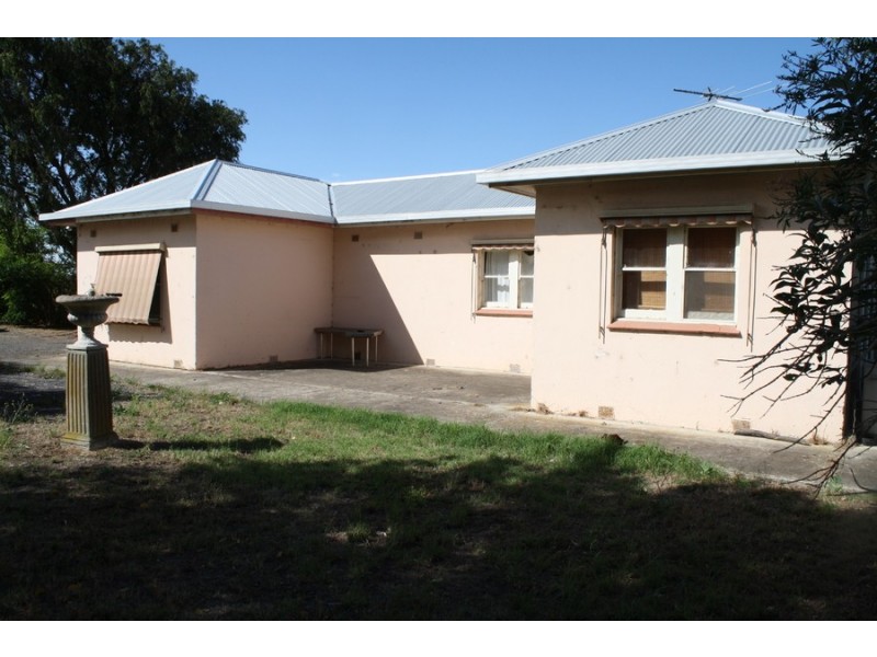 254 Mount Gambier Road, Millicent SA 5280