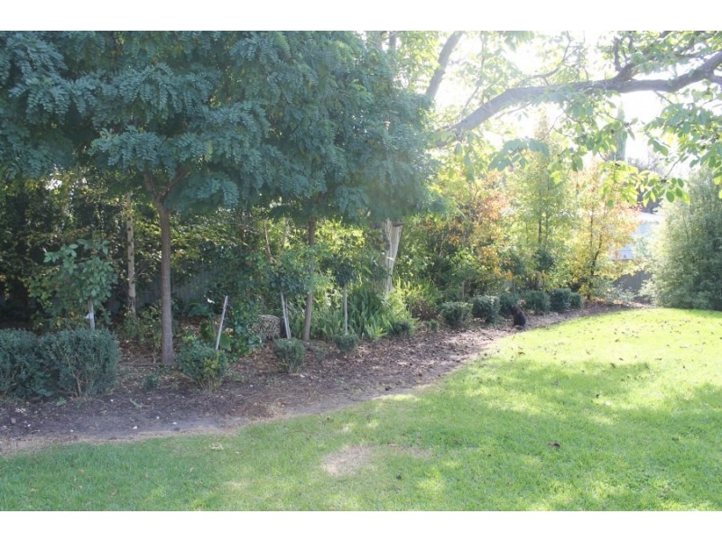 14 Main Street, Millicent SA 5280