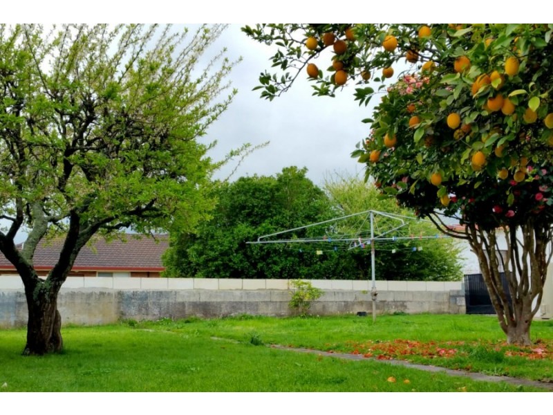 4 Daniel Street, Mount Gambier SA 5290